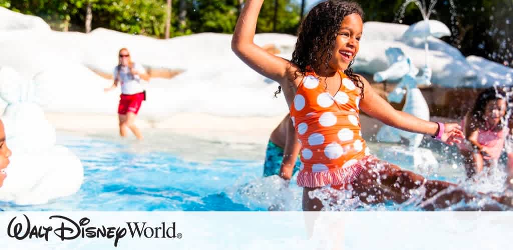 Disney World Picture