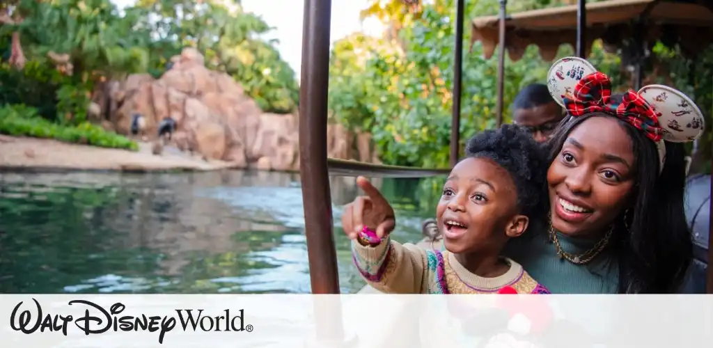 Disney World Picture