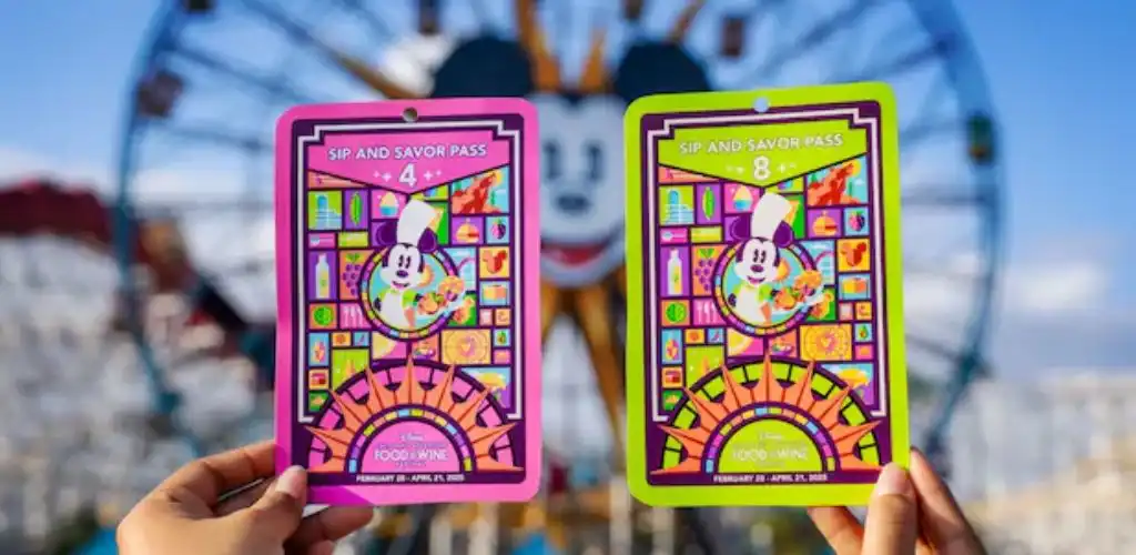 Two hands hold up colorful pass cards with cartoon characters and vibrant graphics in front of an amusement park ferris wheel.