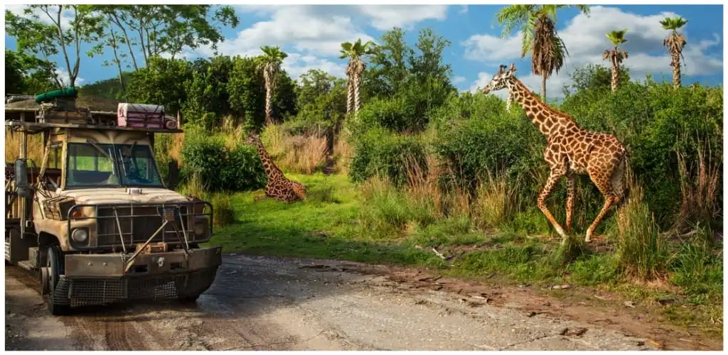 The Newest Baby Animals at Walt Disney World® Resort: A Wild Getaway Awaits!