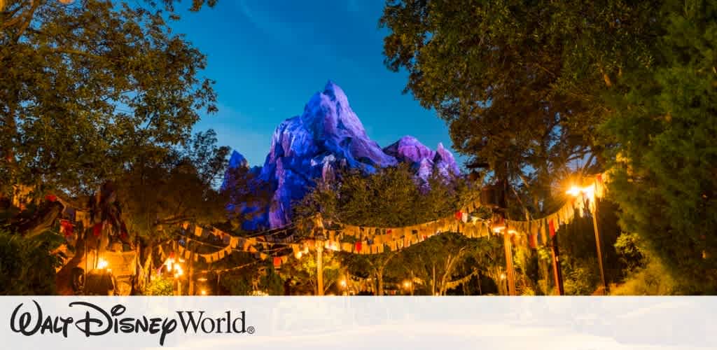 Disney World Picture