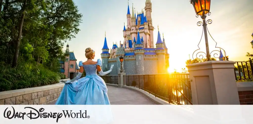 Disney World Picture