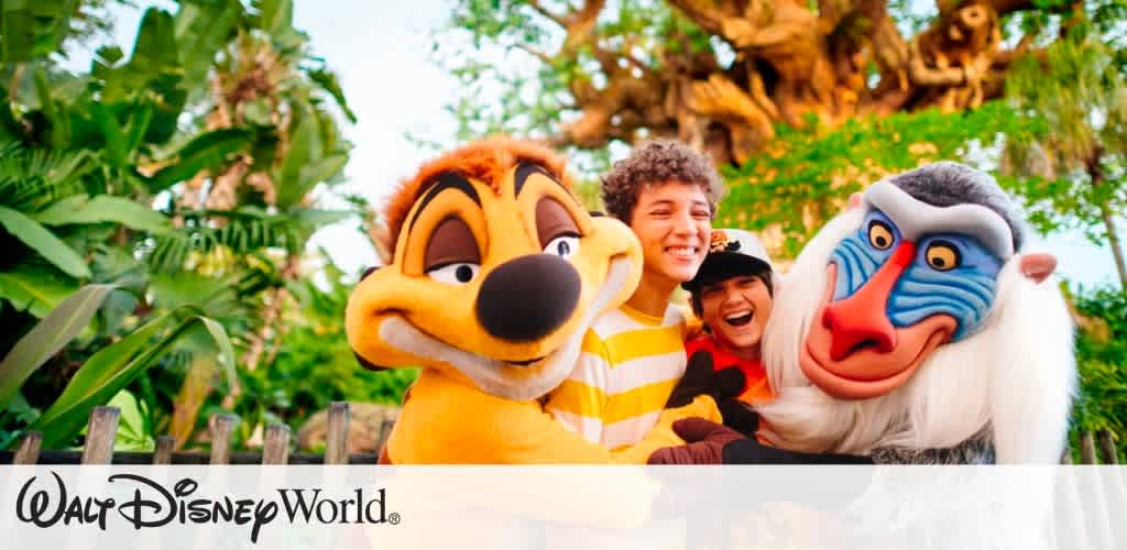 Disney World Picture