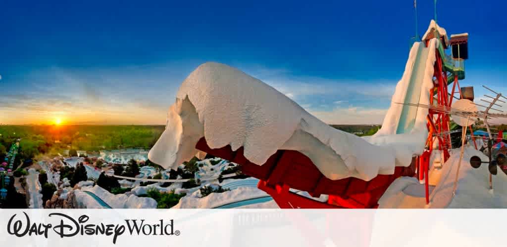 Disney World Picture