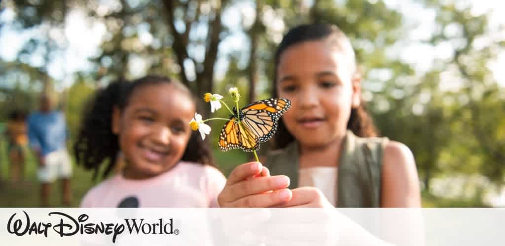 Disney World Picture