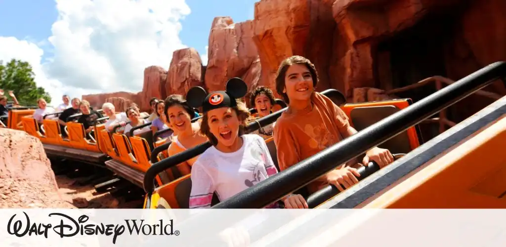 Disney World Picture