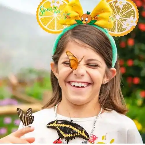 12 Saving Tips: How to Save Money at Disney World Orlando