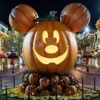 12 Saving Tips: How to Save Money at Disney World Orlando