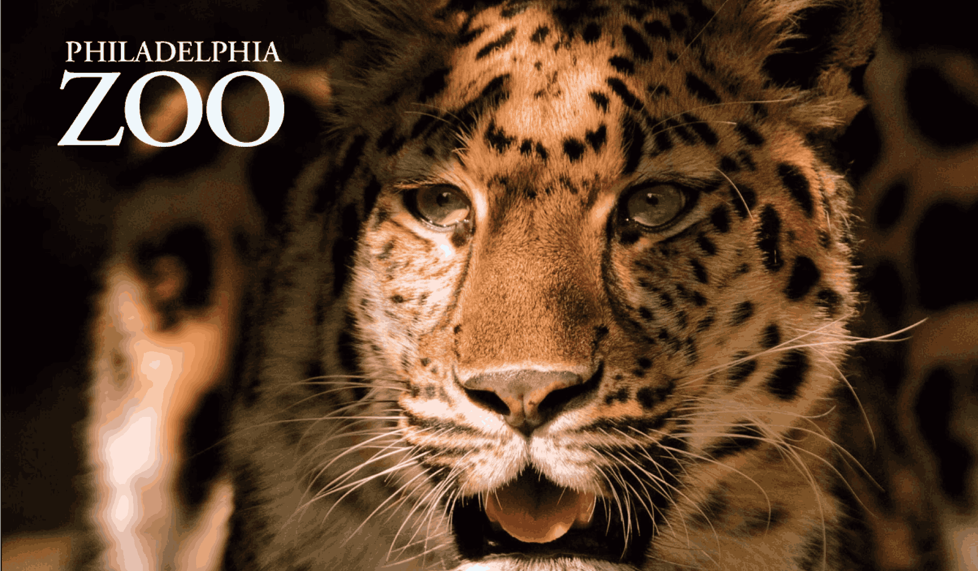 Philadelphia Zoo