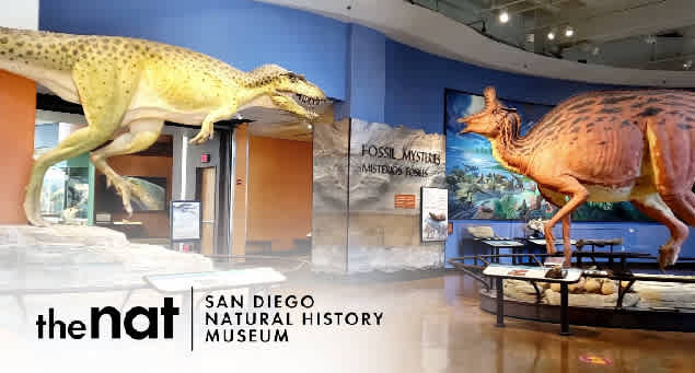 San Diego Natural History Museum