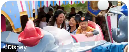 Disneyland Banner card image