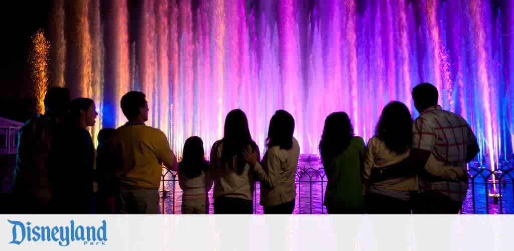 Disneyland California Adventure Park Image