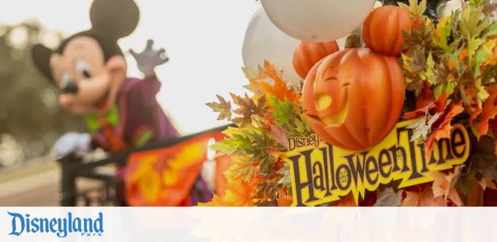 Disney World Picture