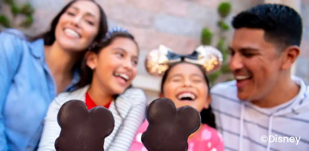 Disneyland Park Picture