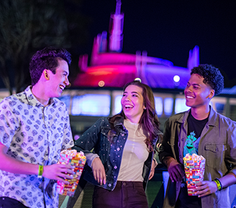 Walt Disney World Special Event Picture