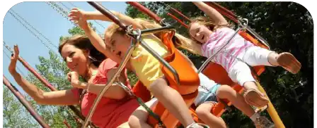 Six Flags card top image