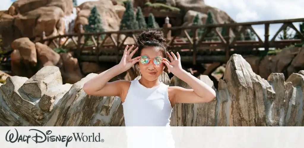 Disney World Picture