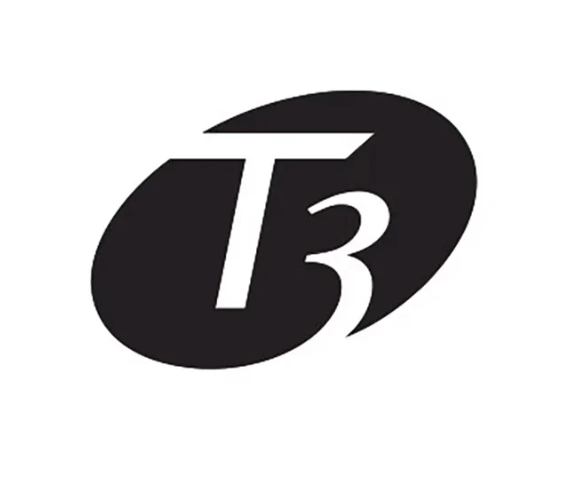 T3 Micro
