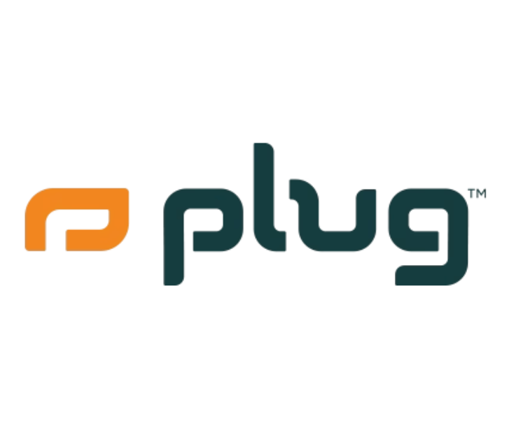 Plug