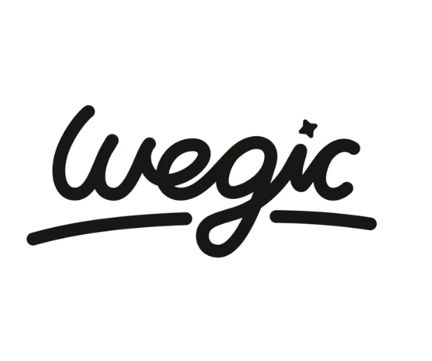 Wegic AI